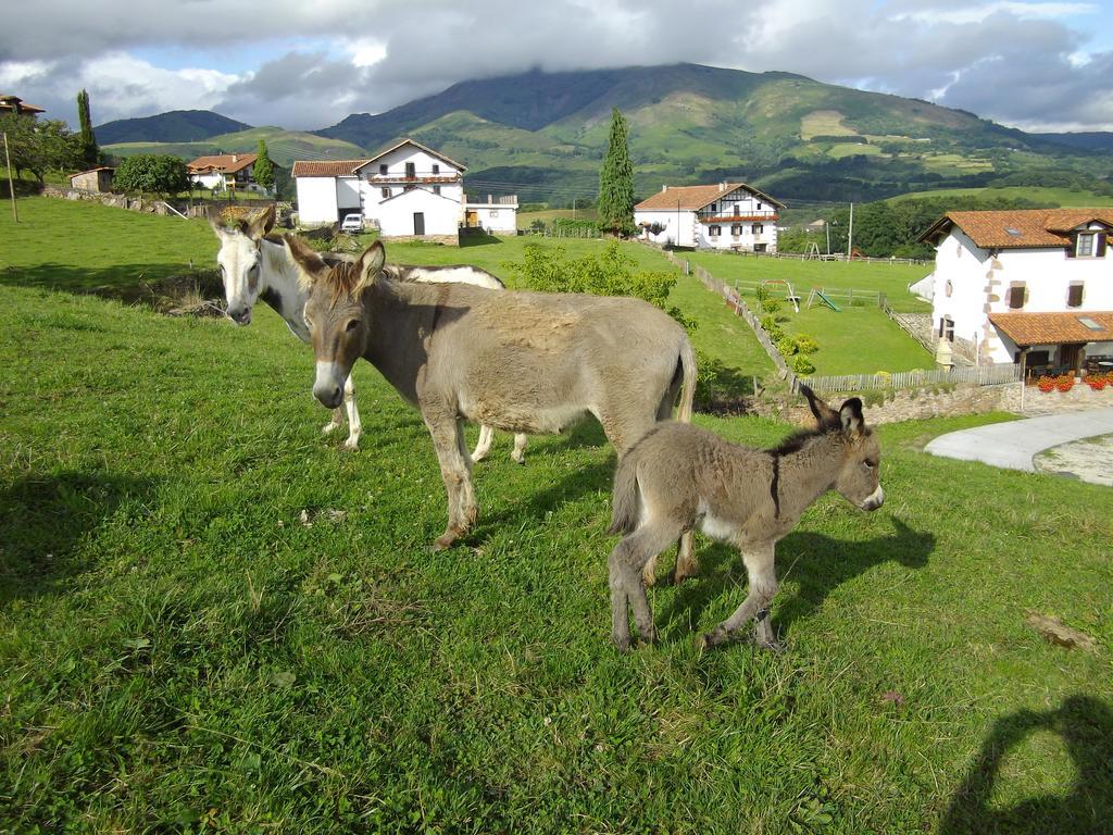 Casa Rural Petisansenea II Zuaztoy de Azpilcueta 外观 照片