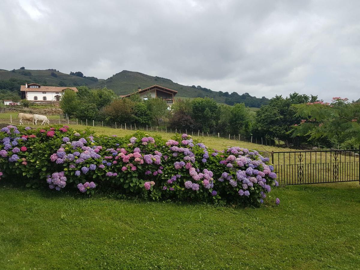 Casa Rural Petisansenea II Zuaztoy de Azpilcueta 外观 照片